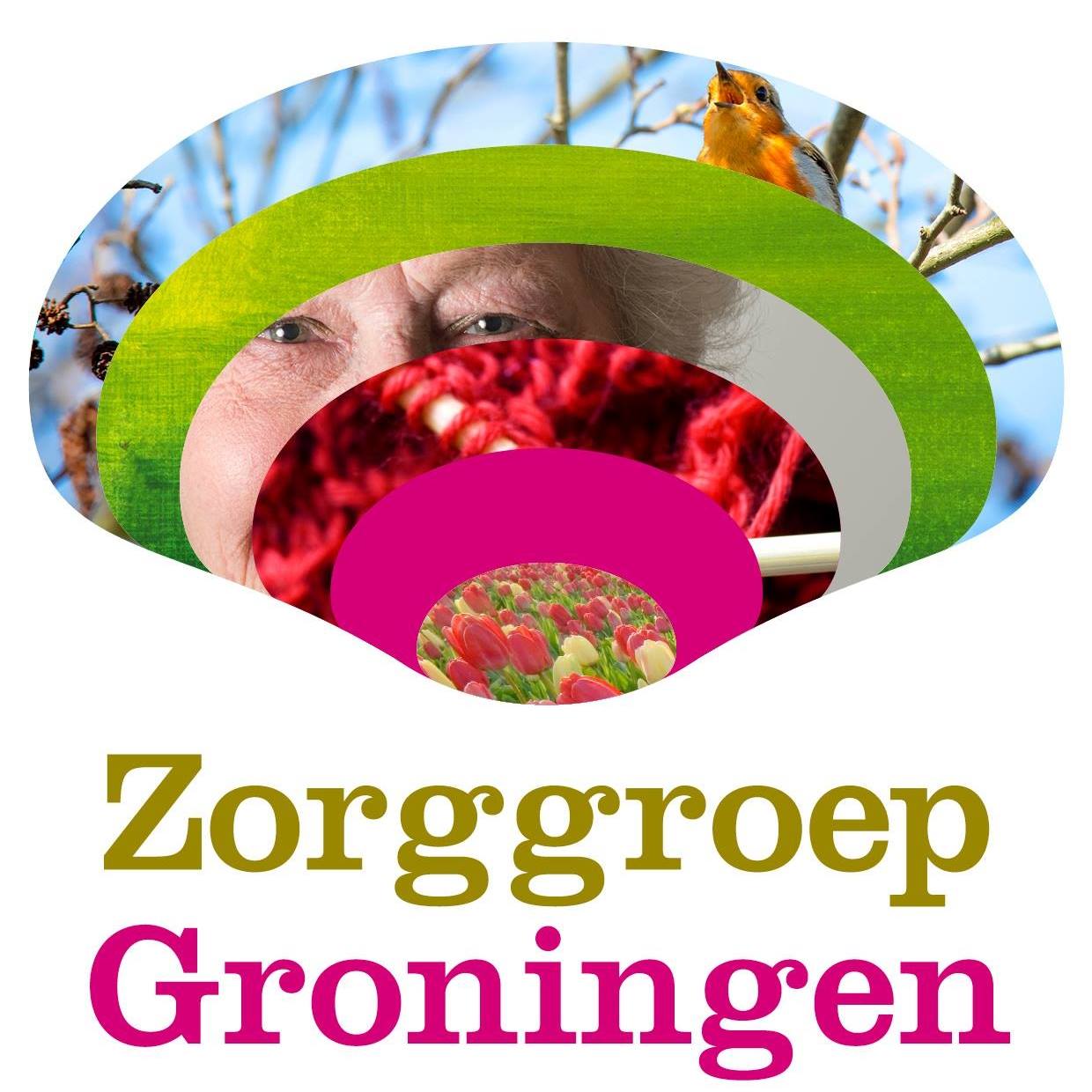 Zorggroep Groningen
